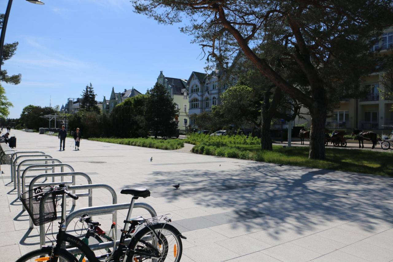 Apartament Matejki 17 - Insel Apartamenty 슈비노우이스쳬 외부 사진